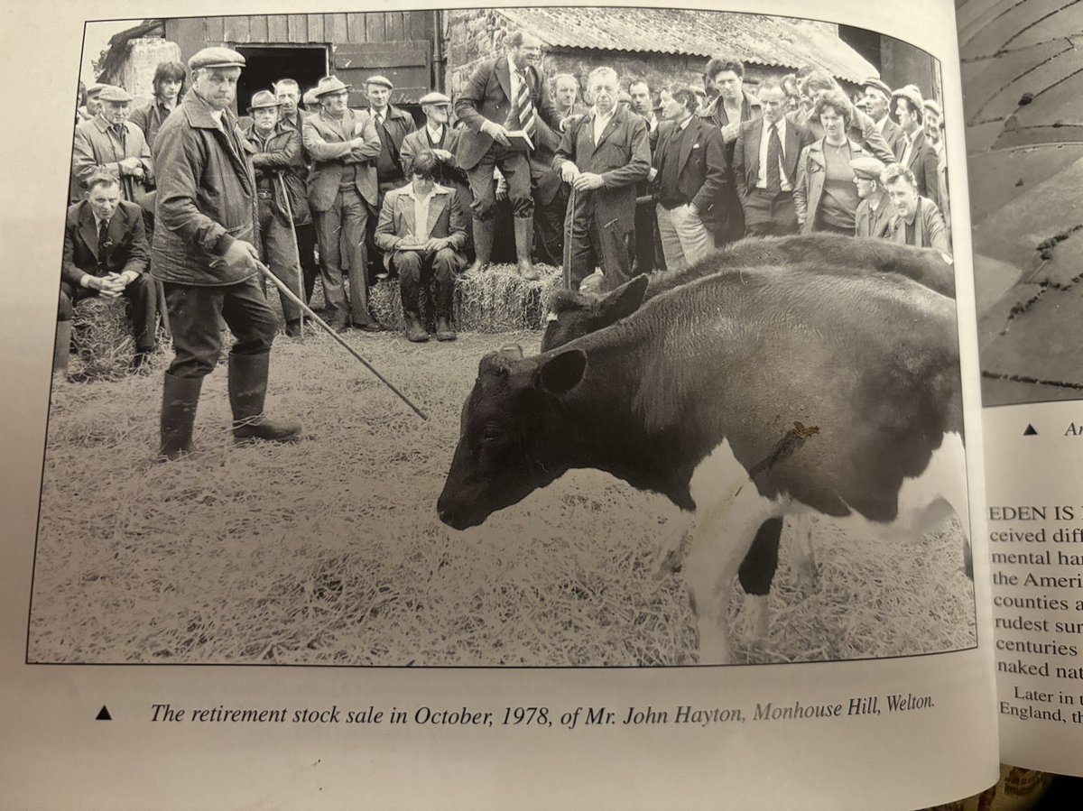 rattycastle's tweet photo. A #Farmsale next door 1970.s not many farmers left from the photo sadly π’#ThrowbackThursday @lowthercastle https://t.co/PgMEHTco1W