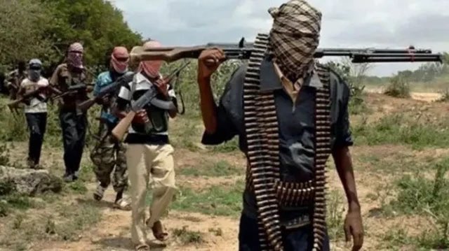 instablog9ja's tweet photo. Bandits Raid Kaduna Settlements, Steal 365 Cattle
Bandits raided four settlements in Iddo village, near Janjala in Kagarko LGA of Kaduna State, stealing 365 cows.
The gunmen, armed with AK-47 rifles, stormed the herders’ camps and drove away the livestock. https://t.co/7TzB2AXNB3