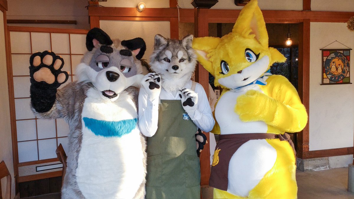 店内で公に着ぐるみ出せるお店です、みんなで着よう👍️✨ 注）写真は