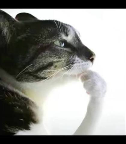 PhaiDei Slopper ☀️🍷 tweet media