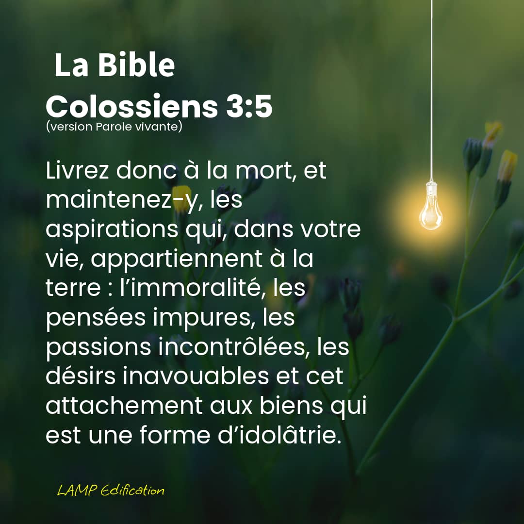 LAMP Edification tweet media
