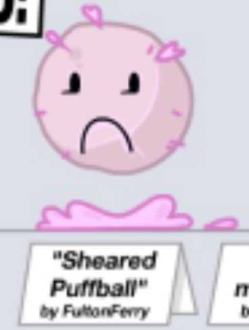 mizosis's tweet photo. get sheared mf #bfdi #bfdia https://t.co/sCujVriCqr