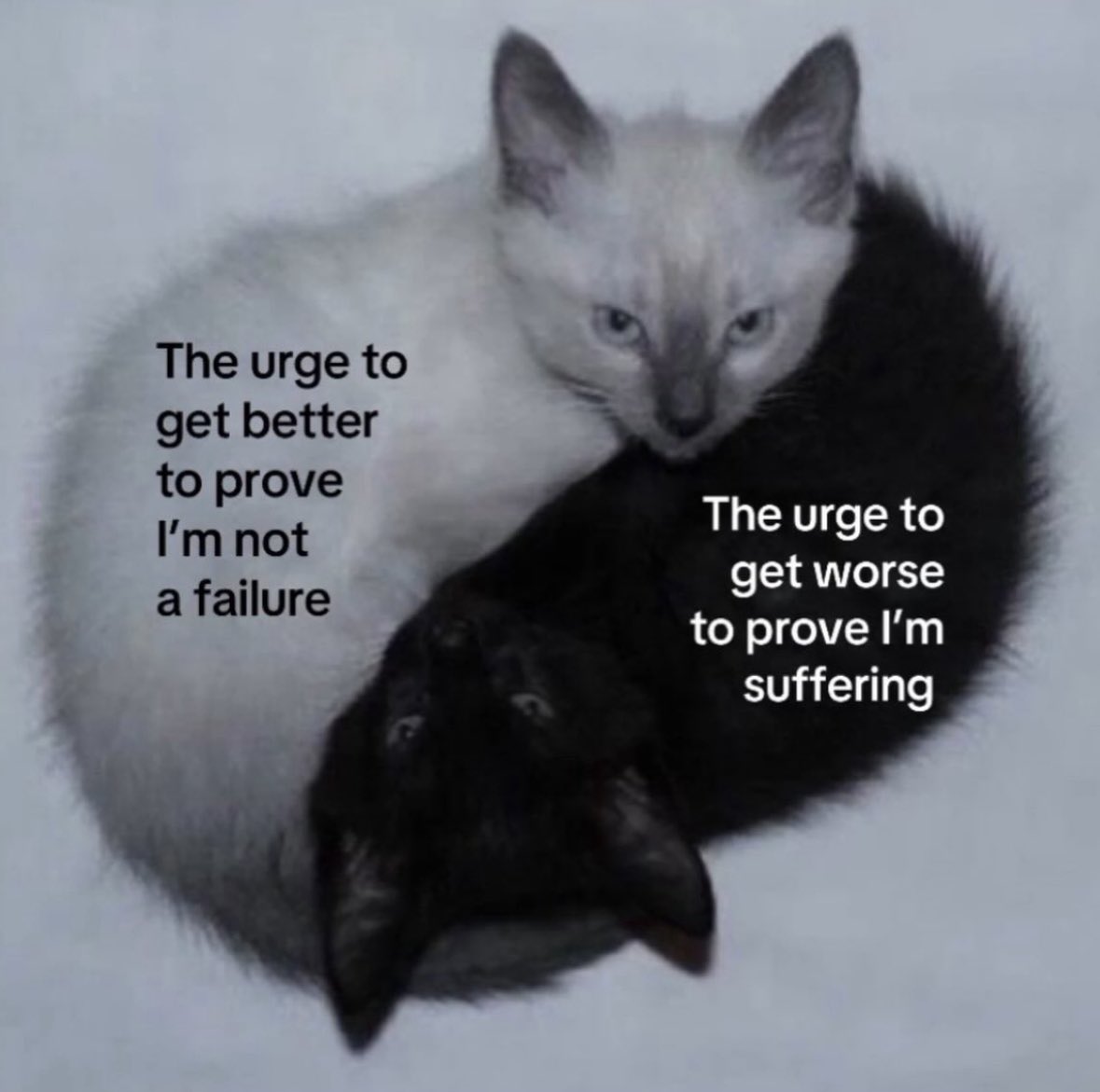 da1ntydeath's tweet image. 