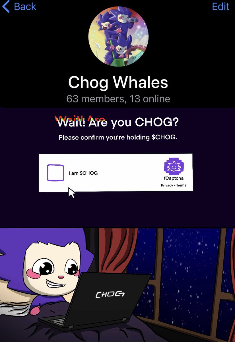 PingPing tweet media