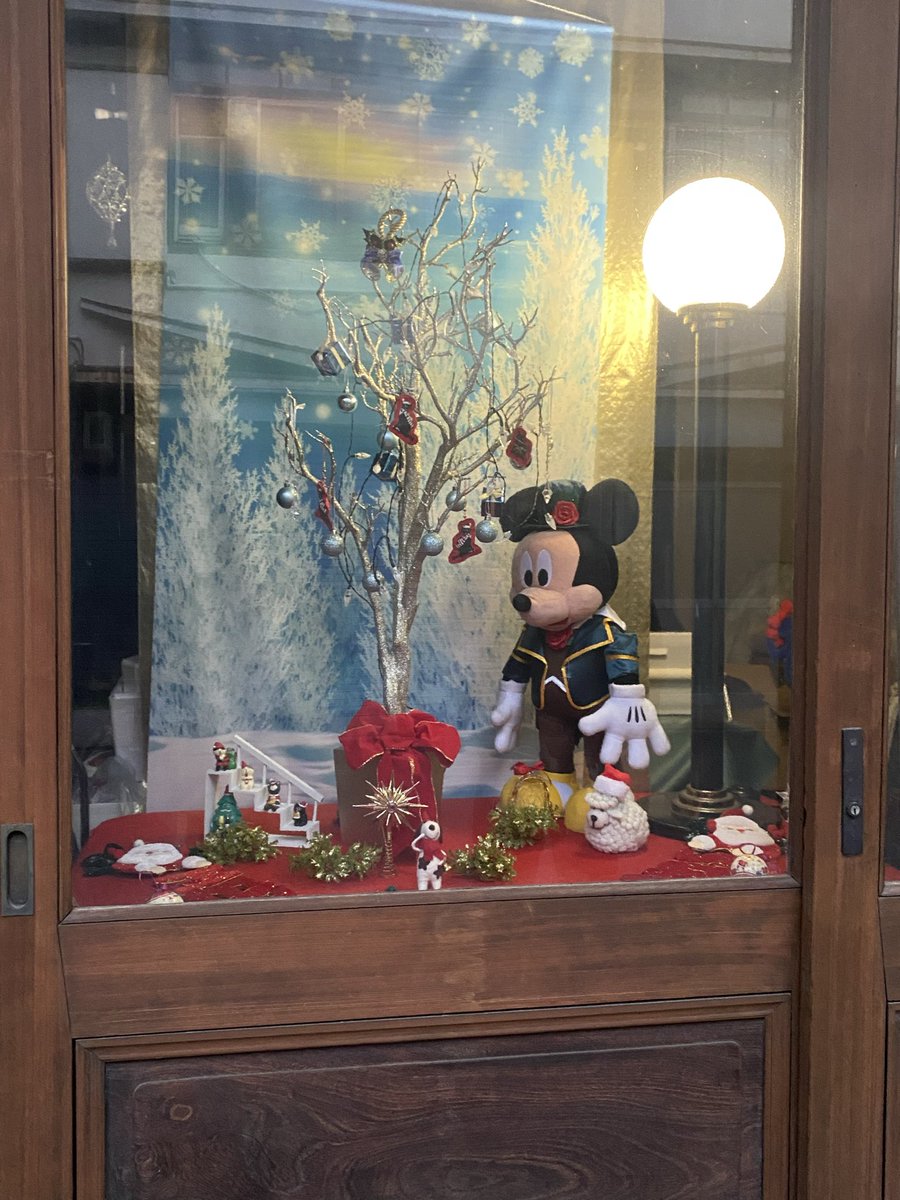 Post by まめた on X: かわいい