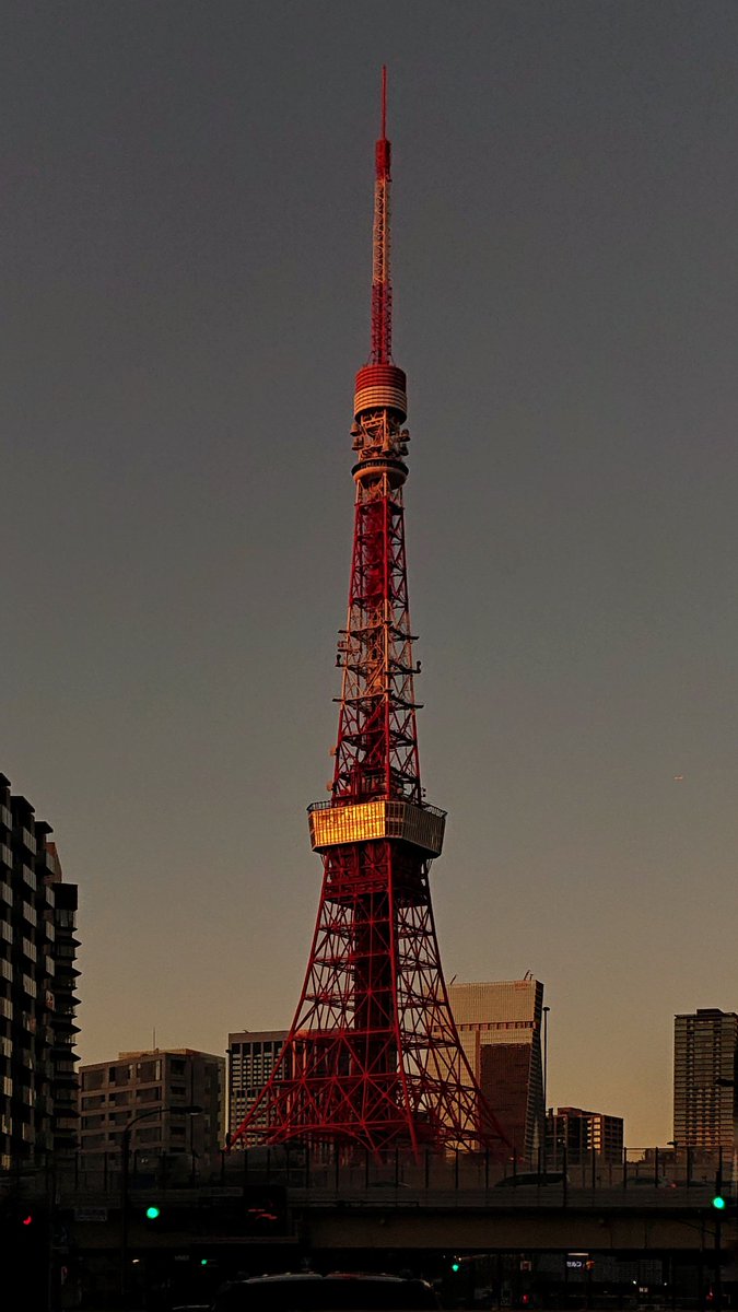 ぽち (@atsushi103) / Posts / X