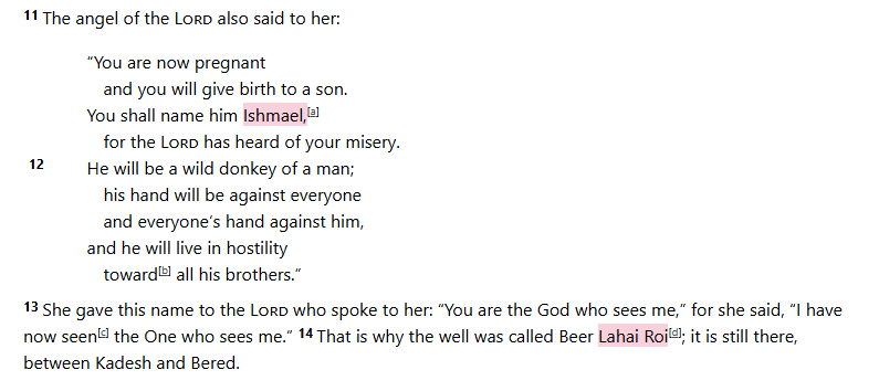 fromtethys's tweet image. ishmael expy in lahai roi?👀