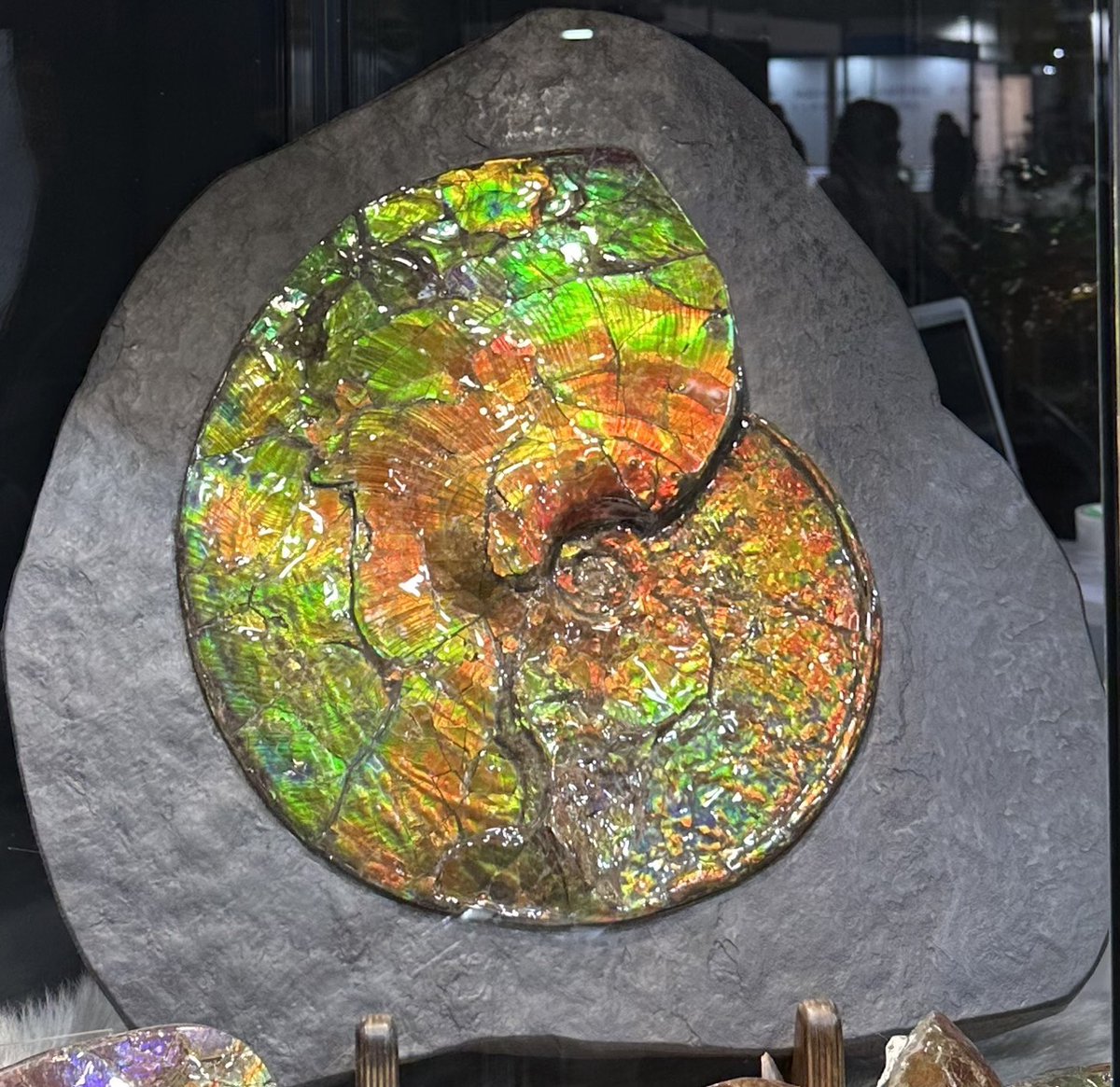 今井 宏明 氏らの@SciReports #OA #論文 Brilliant structural colors