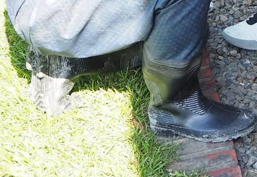 kc lee (@kclee0547216816) on Twitter photo 