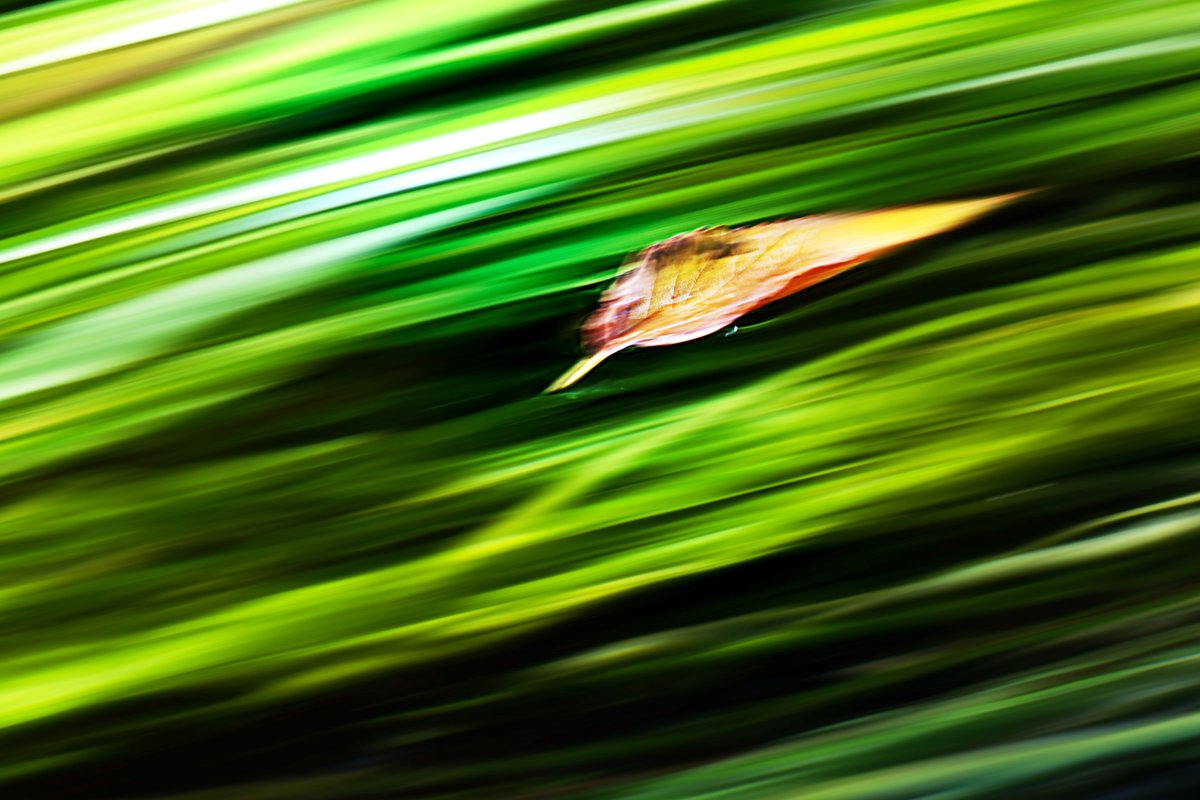 ＊【わたし様】専用ページ＊ しゃあみん with Diavel and α1 (@KodaHiroshi) / Posts / X