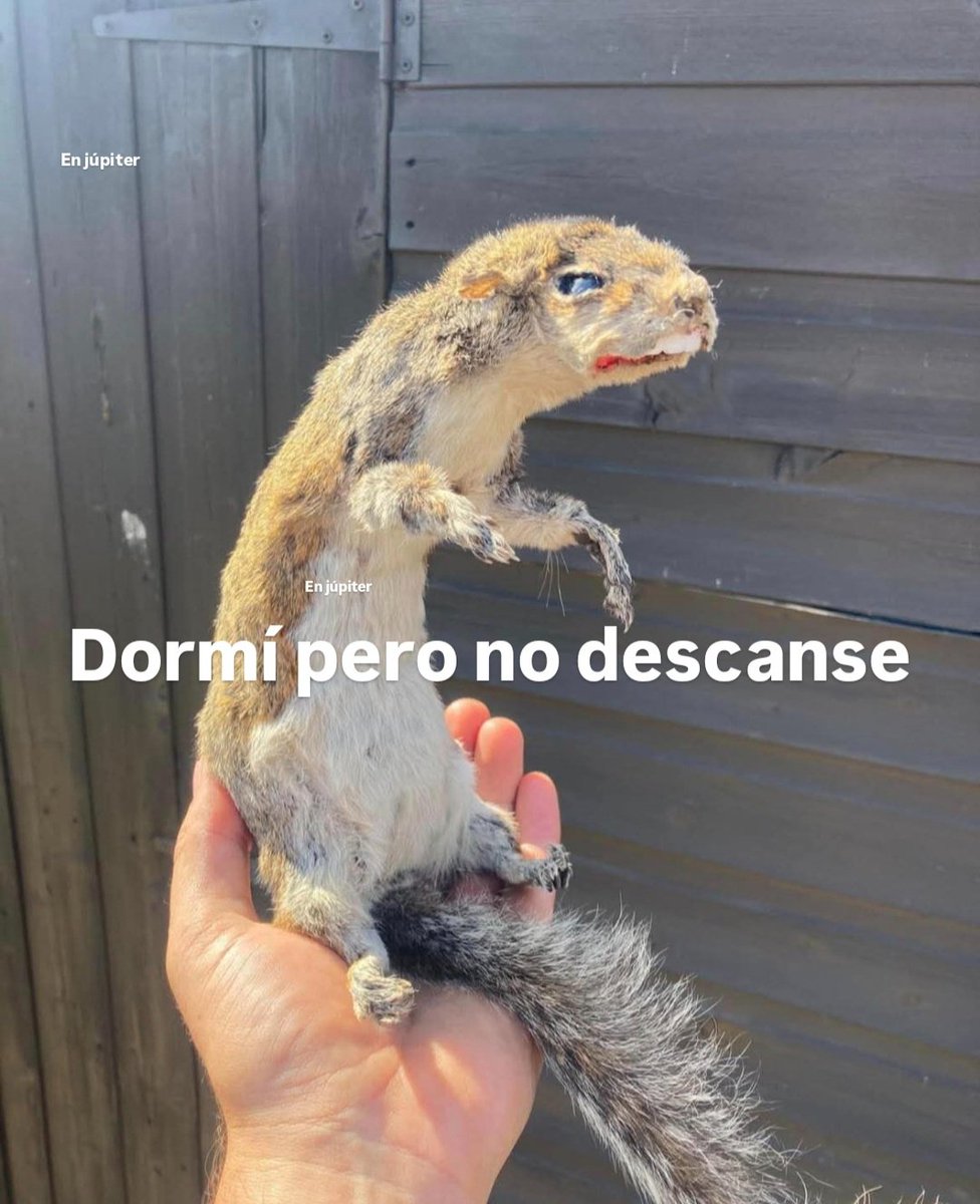 En Júpiter (@en_jupiter_) on Twitter photo 