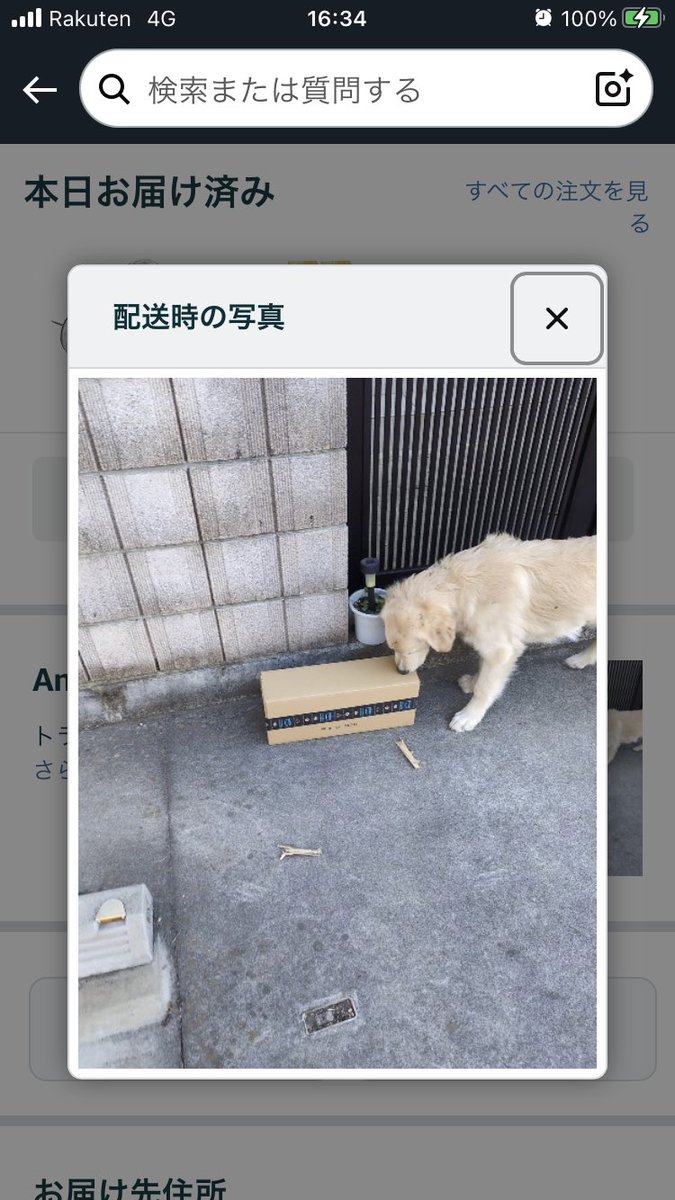 犬を庭に出してるから門前に置いてくださいって置き配に書いたのにこいつ出しとるやんけ！！
後から来た宅配の人に聞いたら門閉まってるし犬も中にいるって言われたから絶対勝手に出してる！！
門には内鍵してたのに