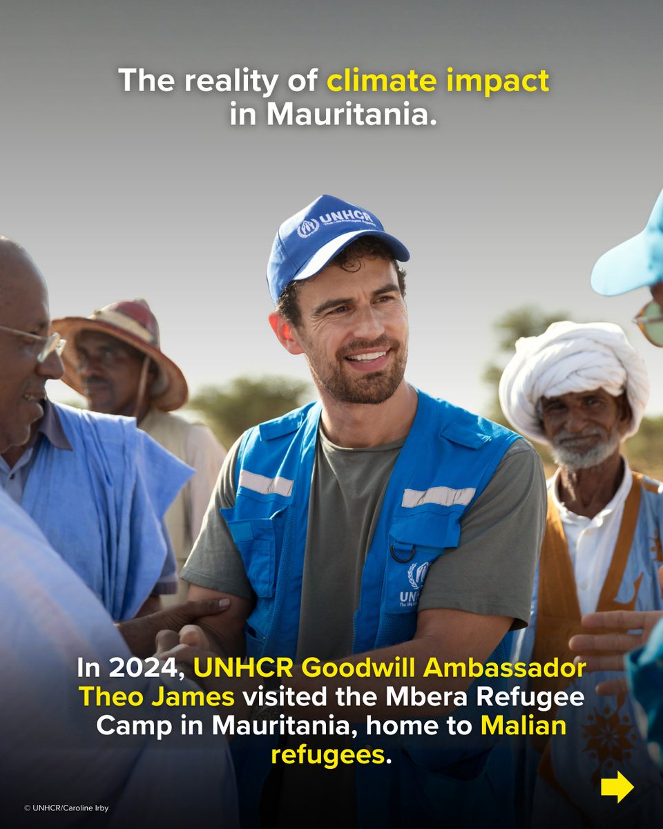 Refugees's tweet image. 🧵