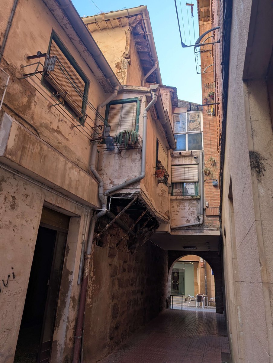 Solid Neon - Wishlist PECADO tweet media