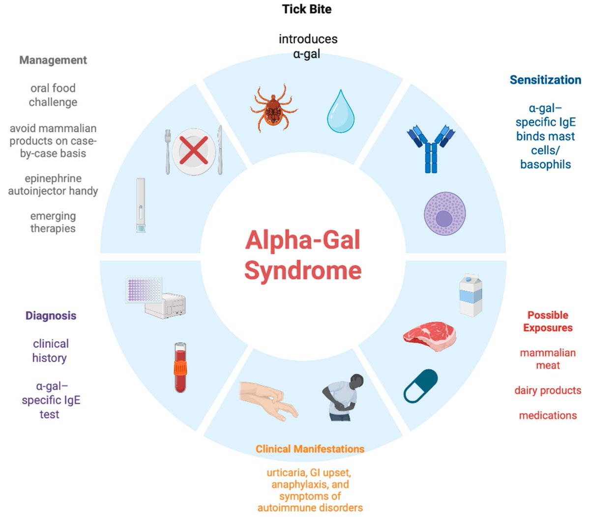 Allergies_MDPI's tweet image. 🔔 Welcome to read our paper published &quot;Alpha-Gal Syndrome: A Concise #Review&quot; by Dr. Prashant Kaushik et al.

🔗 Link: brnw.ch/21wY47i

🎓 This article is geared towards providing a review of AGS for healthcare providers (HCPs) from all realms of medicine.

#MDPI