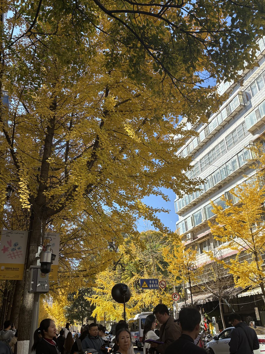 irving9494's tweet photo. 昆明好安逸好舒服 https://t.co/5rkcqnQ7iP