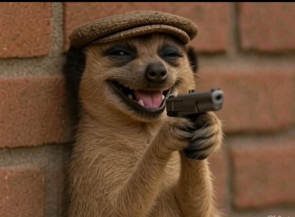 I  woke up to ₦3m credit alert from my friend. He’s yet to call to tell what it’s meant for but I swear I’ve used ₦280k from it already—might be -500k before midday.