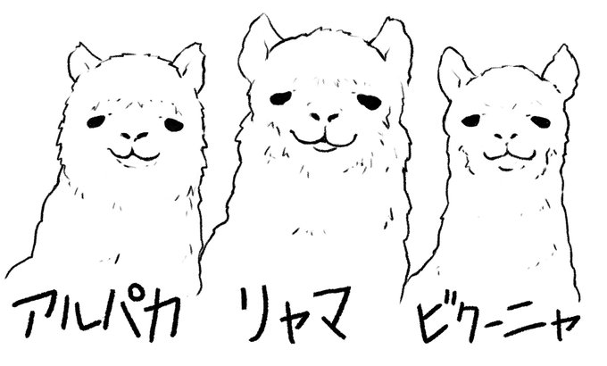 アルパカ、リャマ、ビクーニャ🦙 