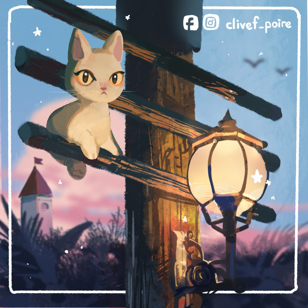 clivef梨子 tweet media