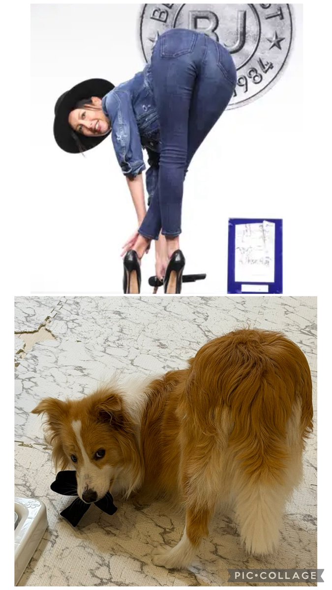 パパはこっちだと思ってるみたい