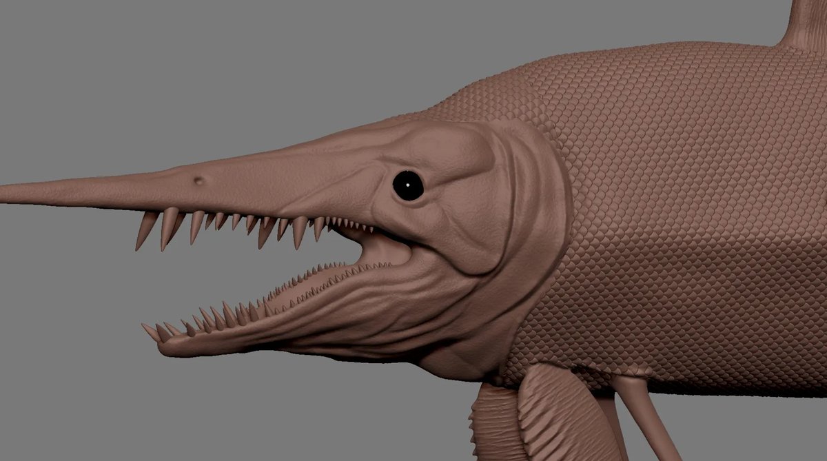 Unveiling "Protosphyraena",  a swordfish-like marine fish from the Upper Cretaceous period. Believed to have been present in North America, Europe, Asia and Australia, the Protosphyraena will be a playable character in Aldian of Ancients.

#dinosaurs #survival #dinosaurgame #AoA