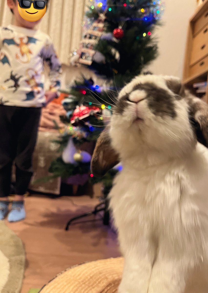 Post by おもち on X: できた🎄💫