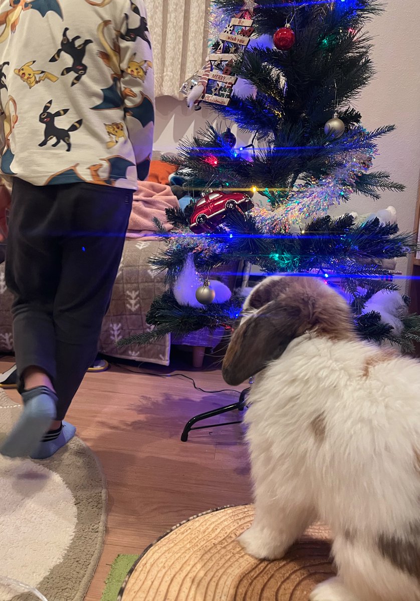 Post by おもち on X: できた🎄💫