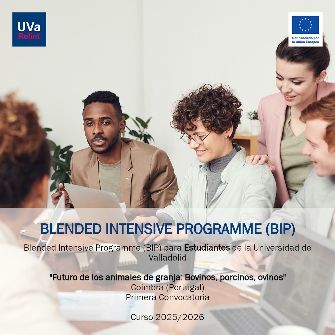 Disponible la Resolución de la Primera Convocatoria del BIP (Blended Intensive Programme) “Futuro de los animales de granja: Bovinos, porcinos, ovinos” del SEPIE para estudiantes de la UVa en Coimbra (Portugal)

ℹ️ bit.ly/BIPs_CDs

<a href="/UVa_es/">Gabinete de Comunicación Universidad de Valladolid</a>
<a href="/sepiegob/">SEPIE</a>