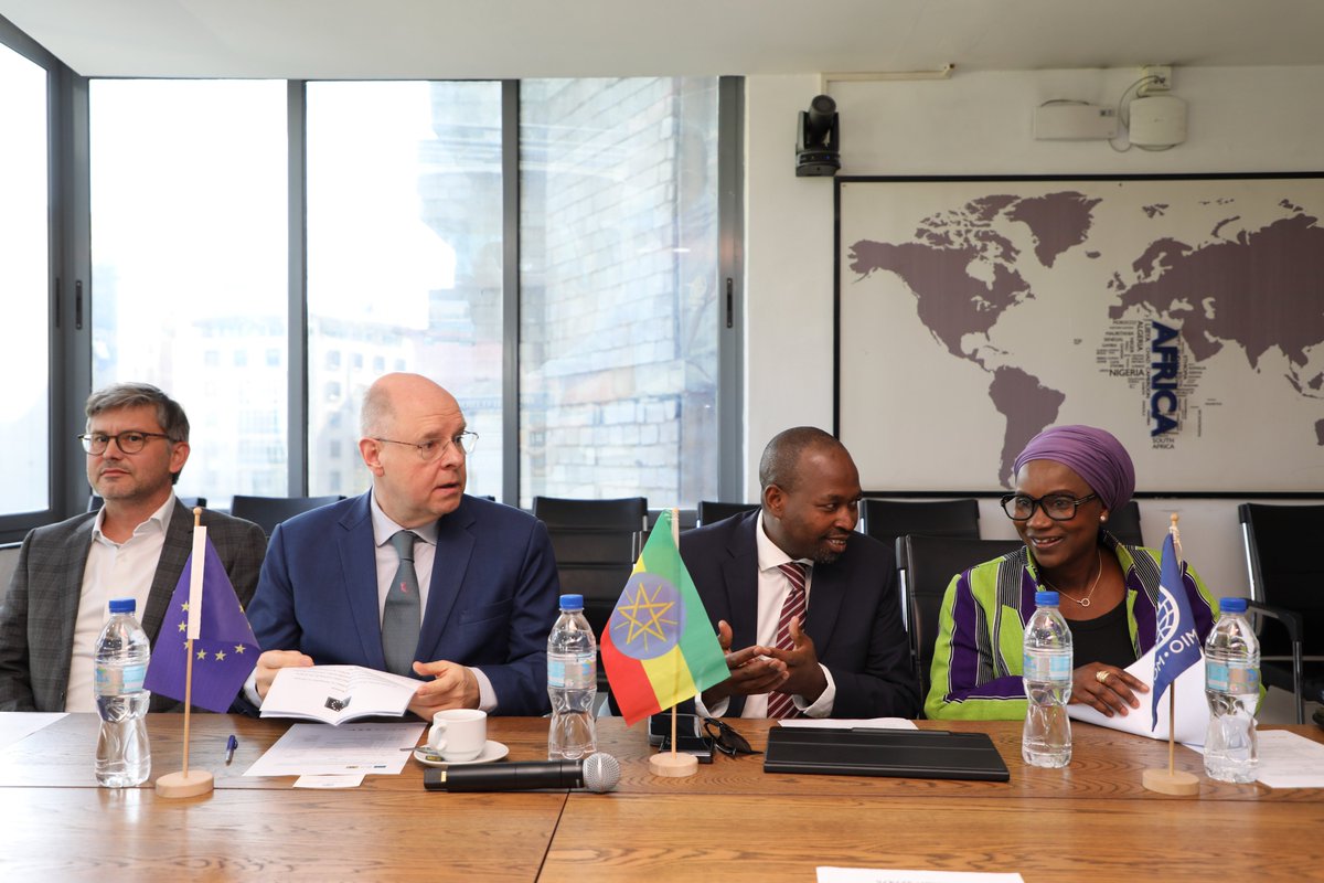 IOMEthiopia's tweet image. Today, with @Jobs_FDRE &amp;amp; @EDRMC_info, we held the 3rd Fed. Steering Committee meeting to review our 🇪🇺‑ &amp;amp; 🇩🇪‑funded project.

The project advances #DurableSolutions for IDPs in northern 🇪🇹 through:
✅ Jobs &amp;amp; livelihoods
✅ Protection
✅ Social cohesion
✅ Access to basic services