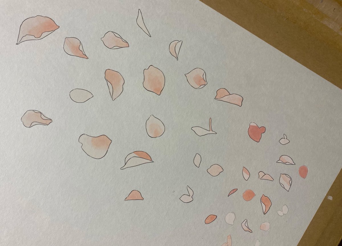 amantofu's tweet photo. 表紙イラストはキャラと花びらを別で描きました。花びらはデザイナーさんが素敵に配置してくださいました☺️ https://t.co/guZ1iX34Sy