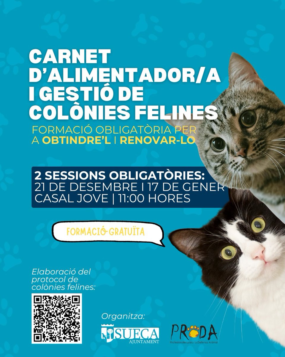 📢 Formació obligatòria per a alimentadors/es i gestors/es de colònies felines
👉 Gratuïta i amb dues sessions obligatòries:
📅 21 desembre – Normativa i obligacions
📅 17 gener – Gestió de colònies
🕚 11.00 h
📍 Casal Jove