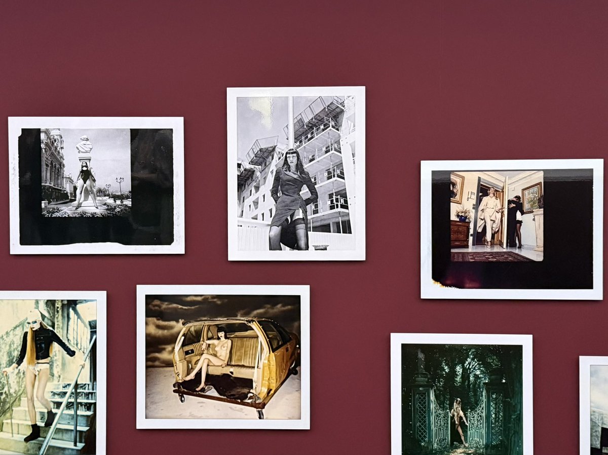thomerl's tweet photo. Helmut Newton - Polaroids https://t.co/oqyeZapXtQ