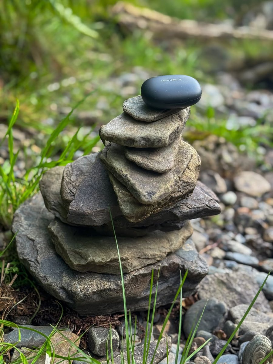 OpenRockGlobal tweet media