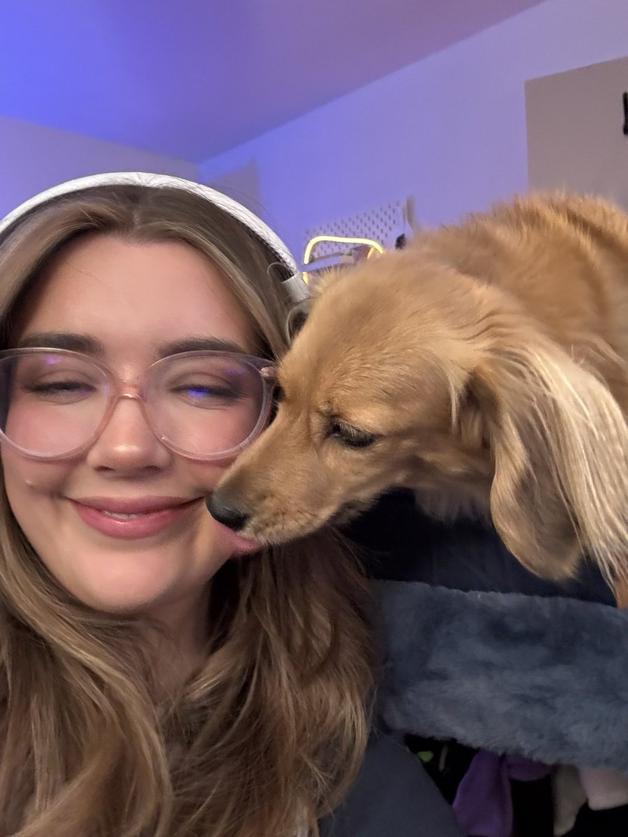 poopernoodle's tweet photo. I am very pleased to share that after a LOT of requests from you guys (and Pea) - she now has her very own microphone!! 

In fact, @Razer sent Pea pretty much a whole streaming kit 🙈

thank you so much @ItGabby_ #gifted 🥺❤️ https://t.co/hG8xQ42czW