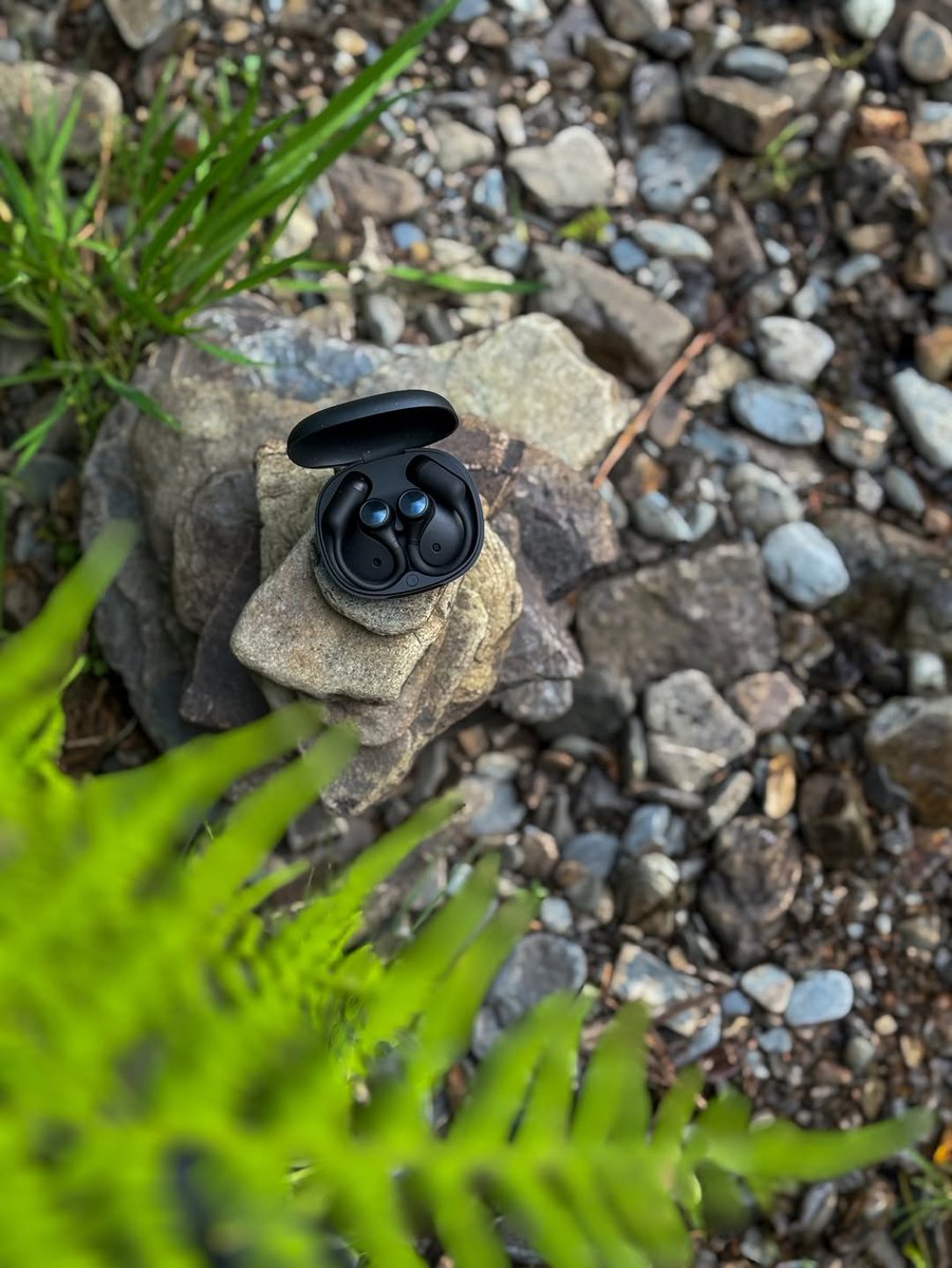 OpenRockGlobal tweet media