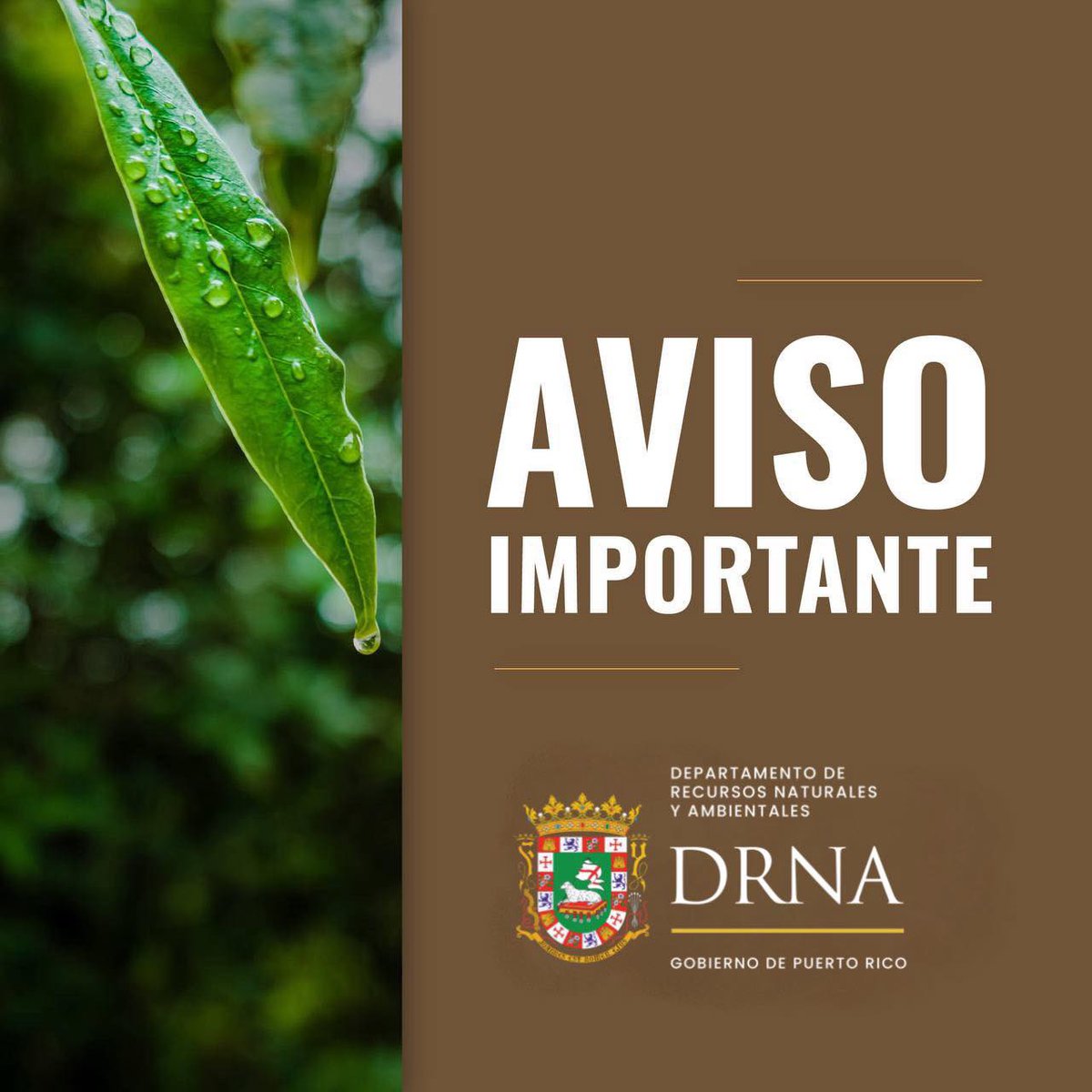 RecursosNaturalesPR tweet media