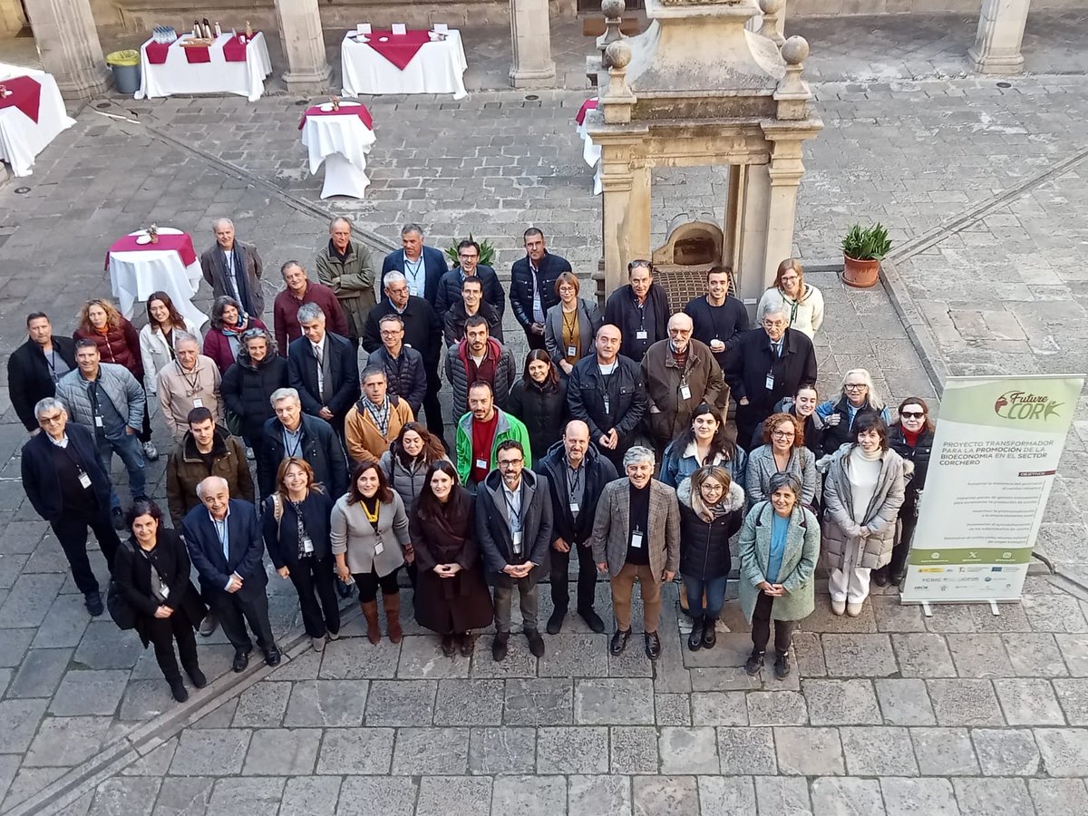 futurecork tweet media