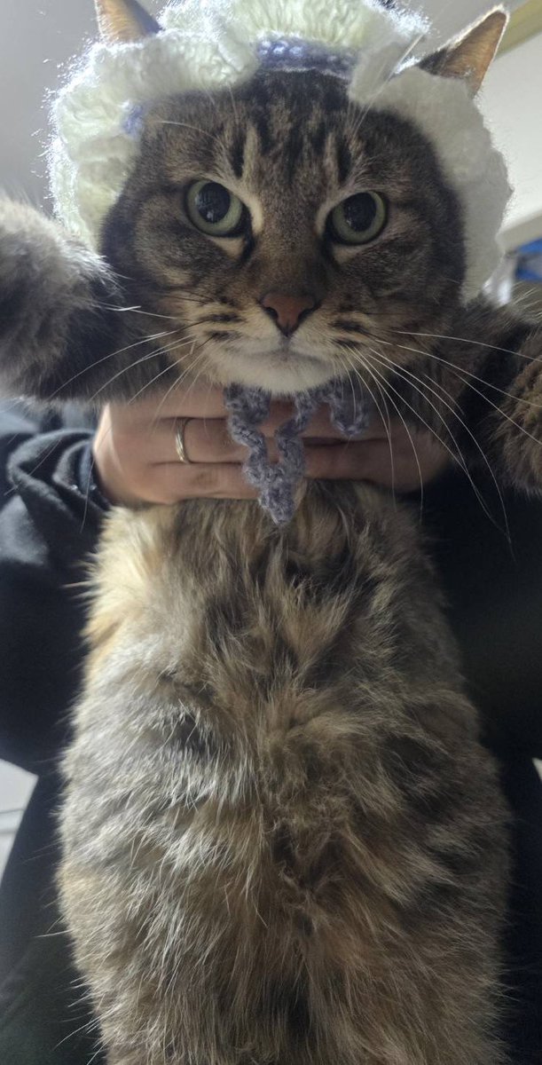 編むプロフ書いたよ #編み物好きな人と繋がりたい #編み物初心者