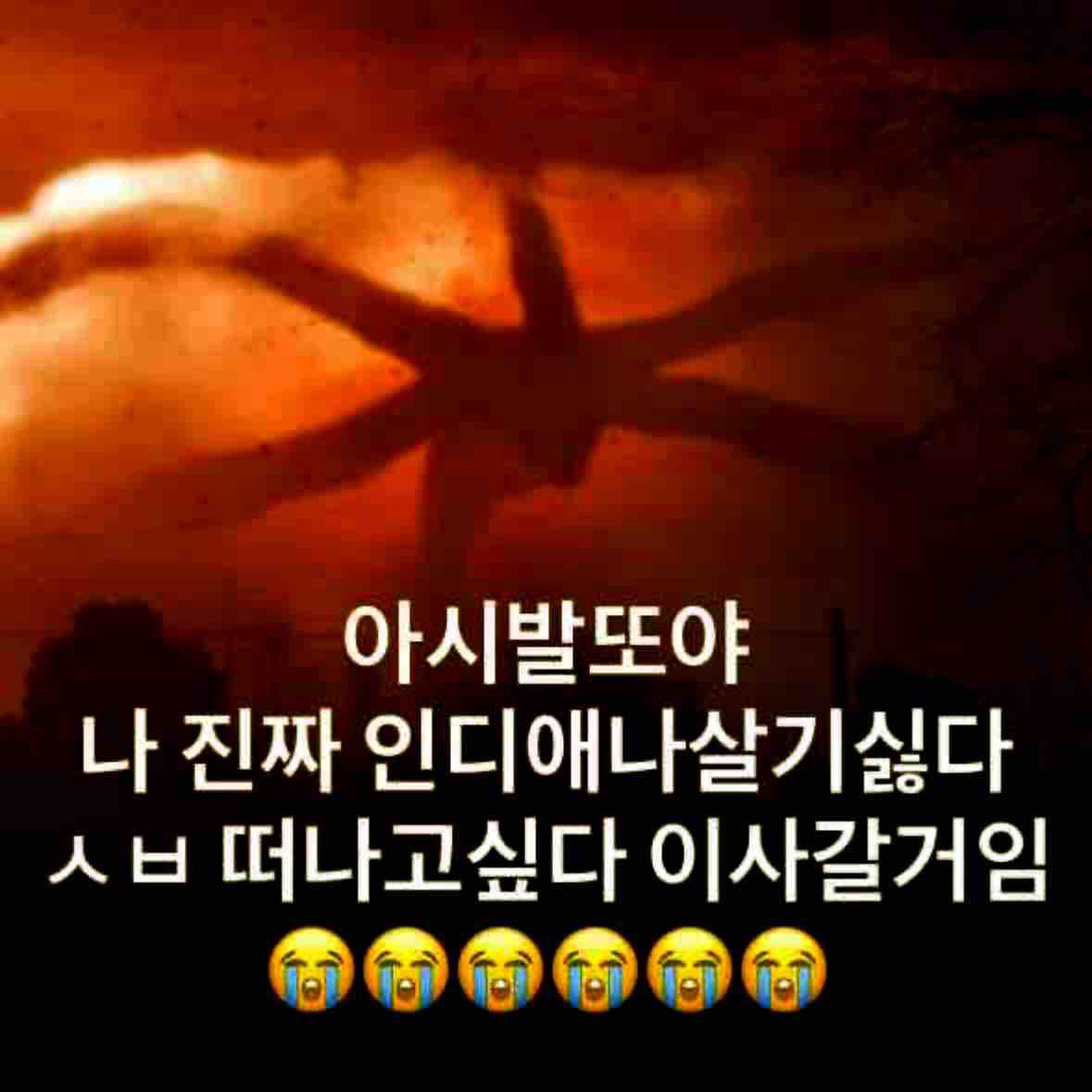 호킨스주민일상