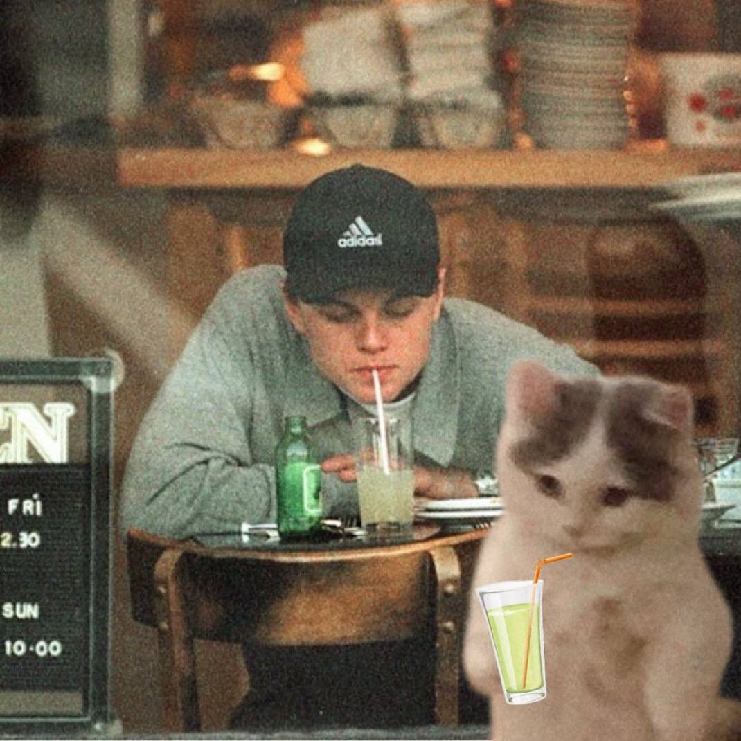 <a href="/YokaiCapital/">Yokai Capital</a> $michi could be the one