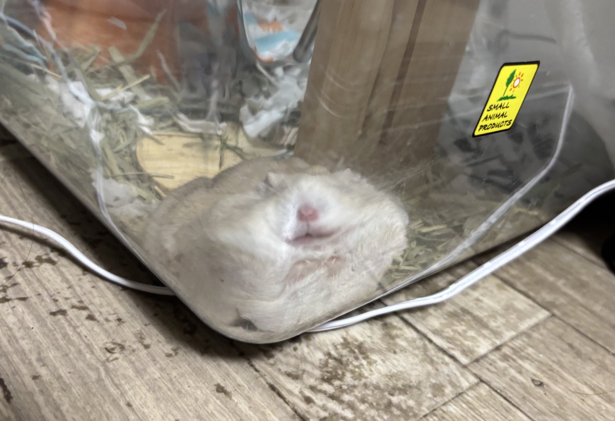 666 (@yuuayy22) on Twitter photo 