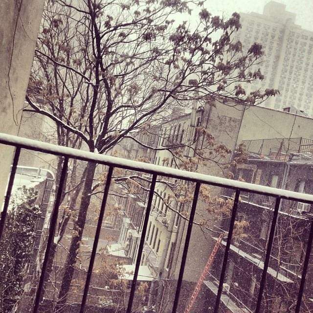 RuwaidaAbd's tweet image. Good morning everyone