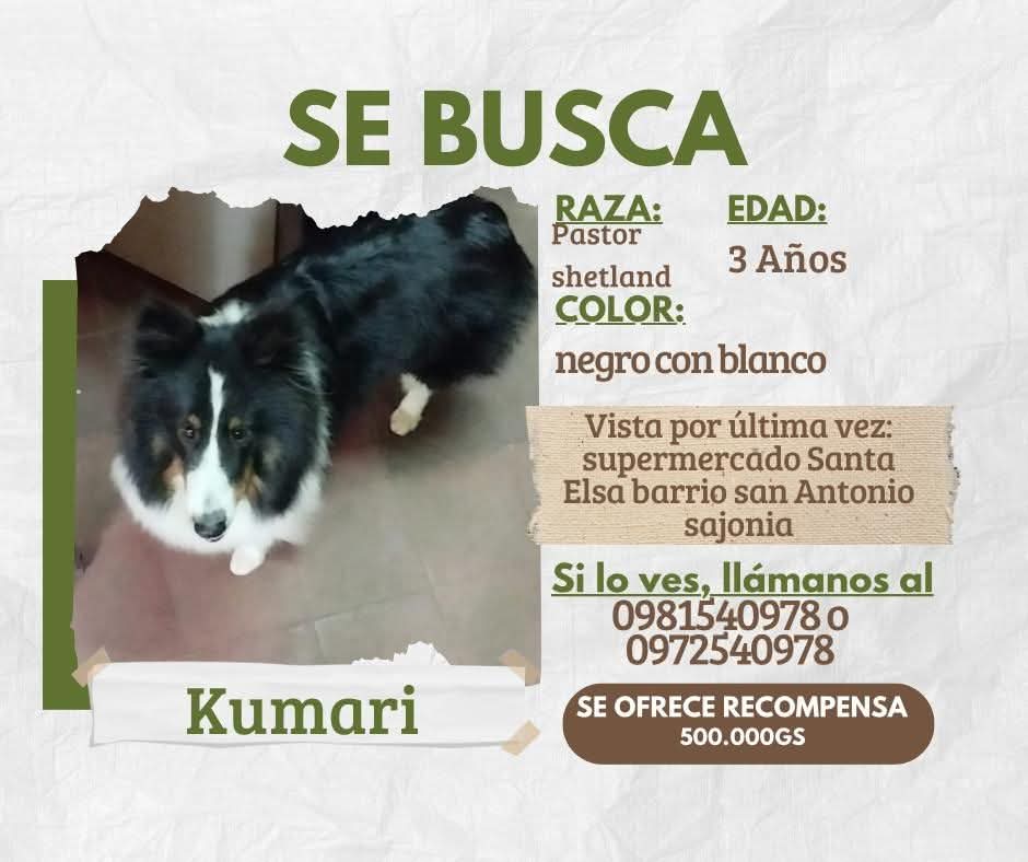 REPTZ (@ruthdemoab) on Twitter photo 