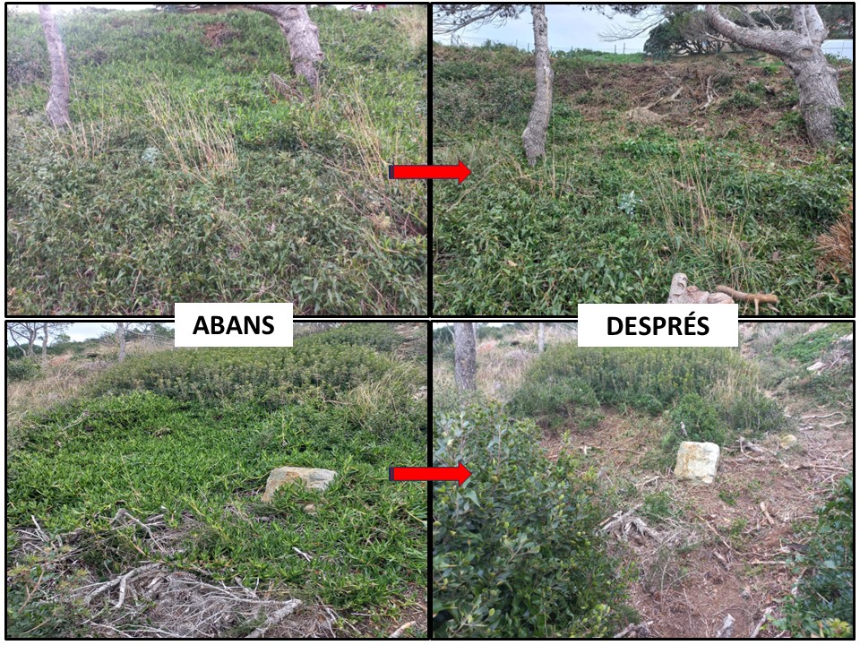 BIOSFERA tweet media