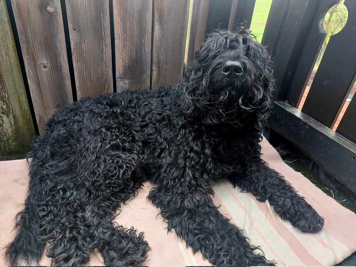 Decke wurde offenbar für gut befunden.