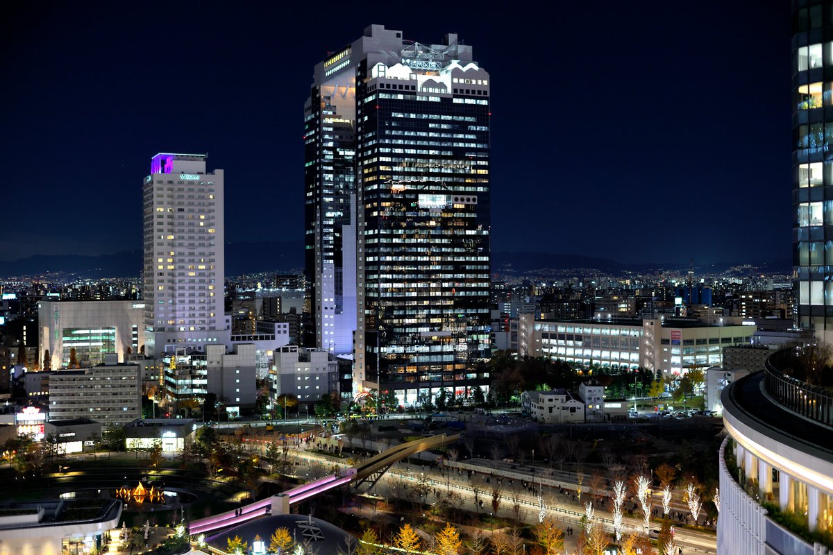 大阪駅🏙️2025.12.04
RF45mm F1.2 STM