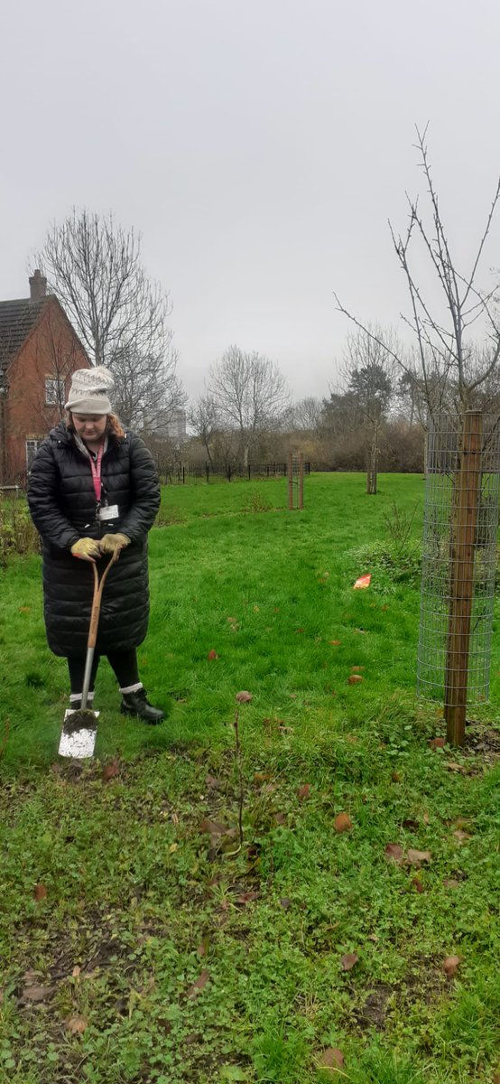 fruitnutvillage's tweet photo. #FruitAndNutVillage volunteers are undettered by a poor weather forecast. We've had 16 people out across #SouthernDriveForestGarden and #PlymouthRun this morning. Action in #Monyhull shown here... #DruidsHeath https://t.co/9xL8uFO2t2