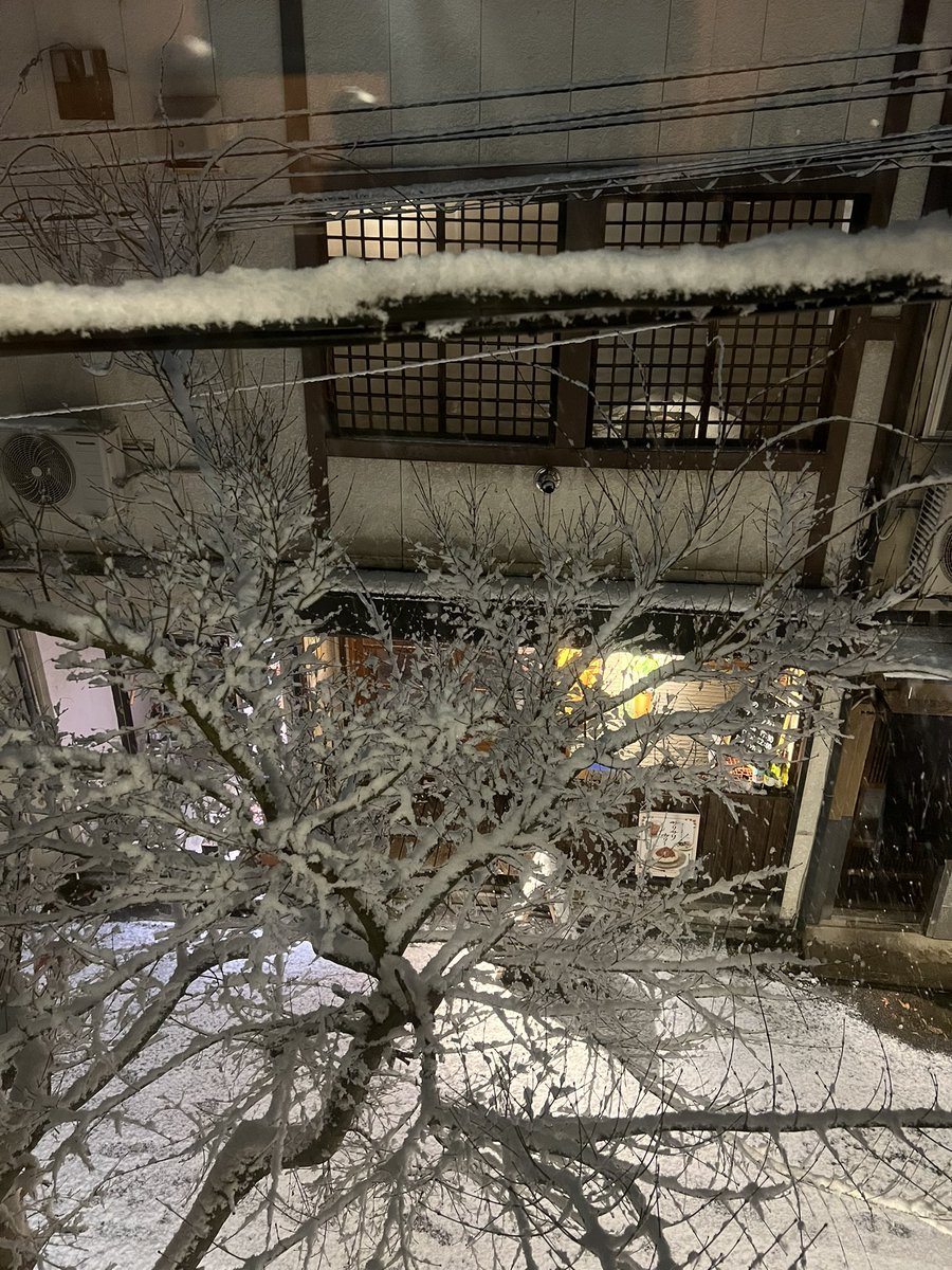 ふじポン (@p0n2525) / Posts / X