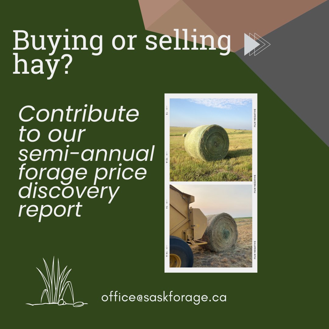 We'd love your help with our forage market report. Enter your forage pricing in our short survey- you can remain anonymous! Visit saskforage.ca and click the button that says "Input Forage Pricing Here"
Every price helps to make our report more accurate - thank you!