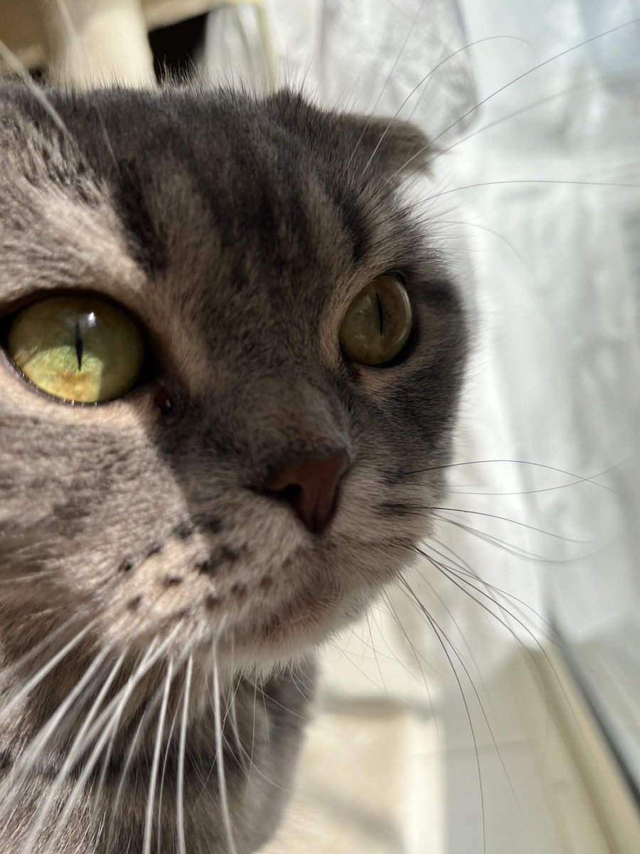 入稿謎すぎてずっとこの顔